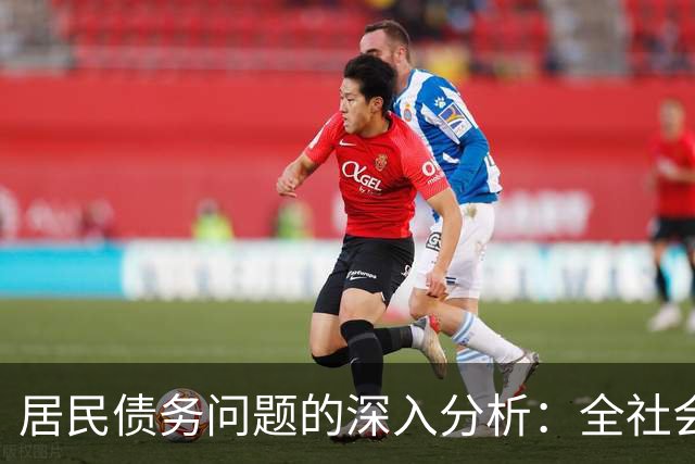居民债务问题的深入分析：全社会偿债时代的来临